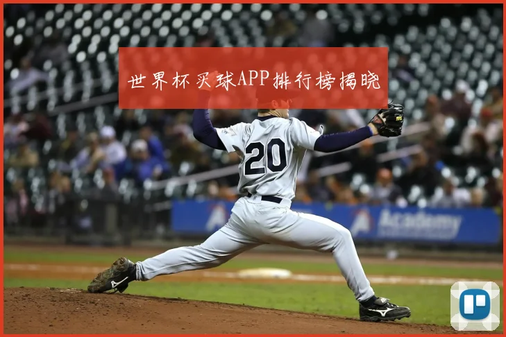 世界杯买球APP排行榜揭晓