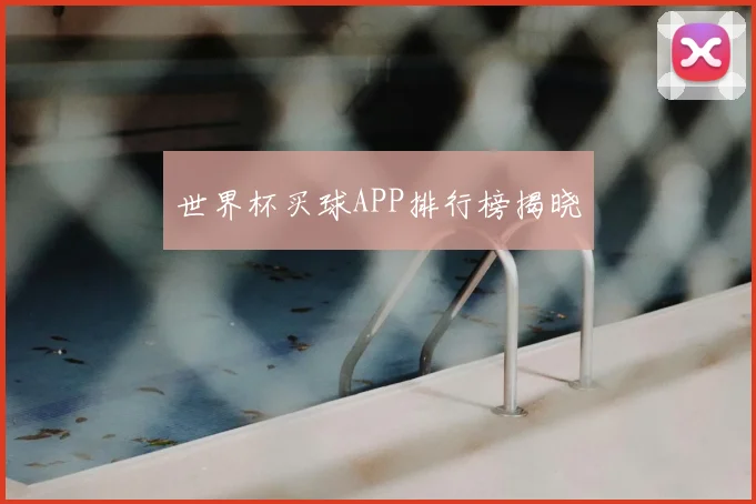 世界杯买球APP排行榜揭晓