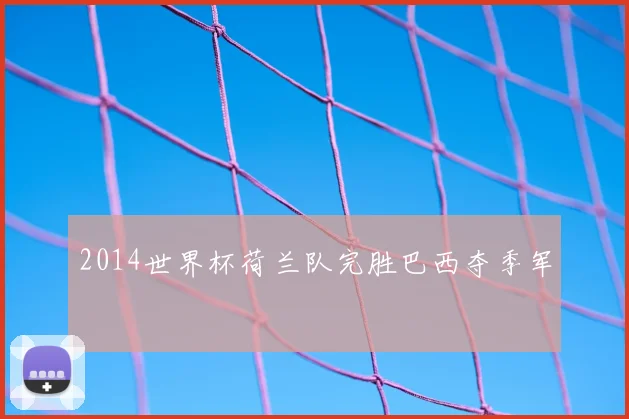 2014世界杯荷兰队完胜巴西夺季军